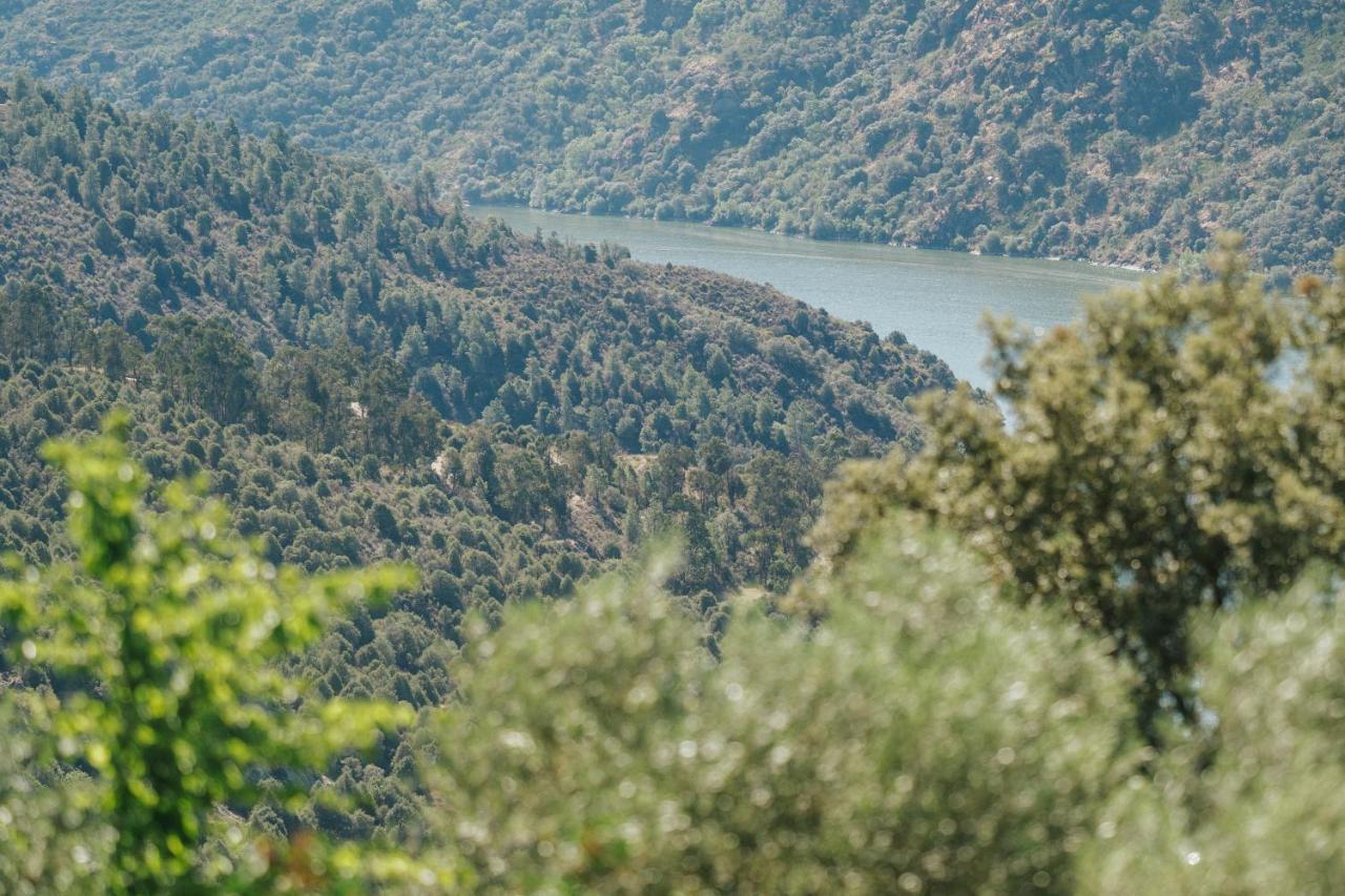 Casa Das Arribas - Rio Douro Aos Seus Pes Bemposta  Esterno foto