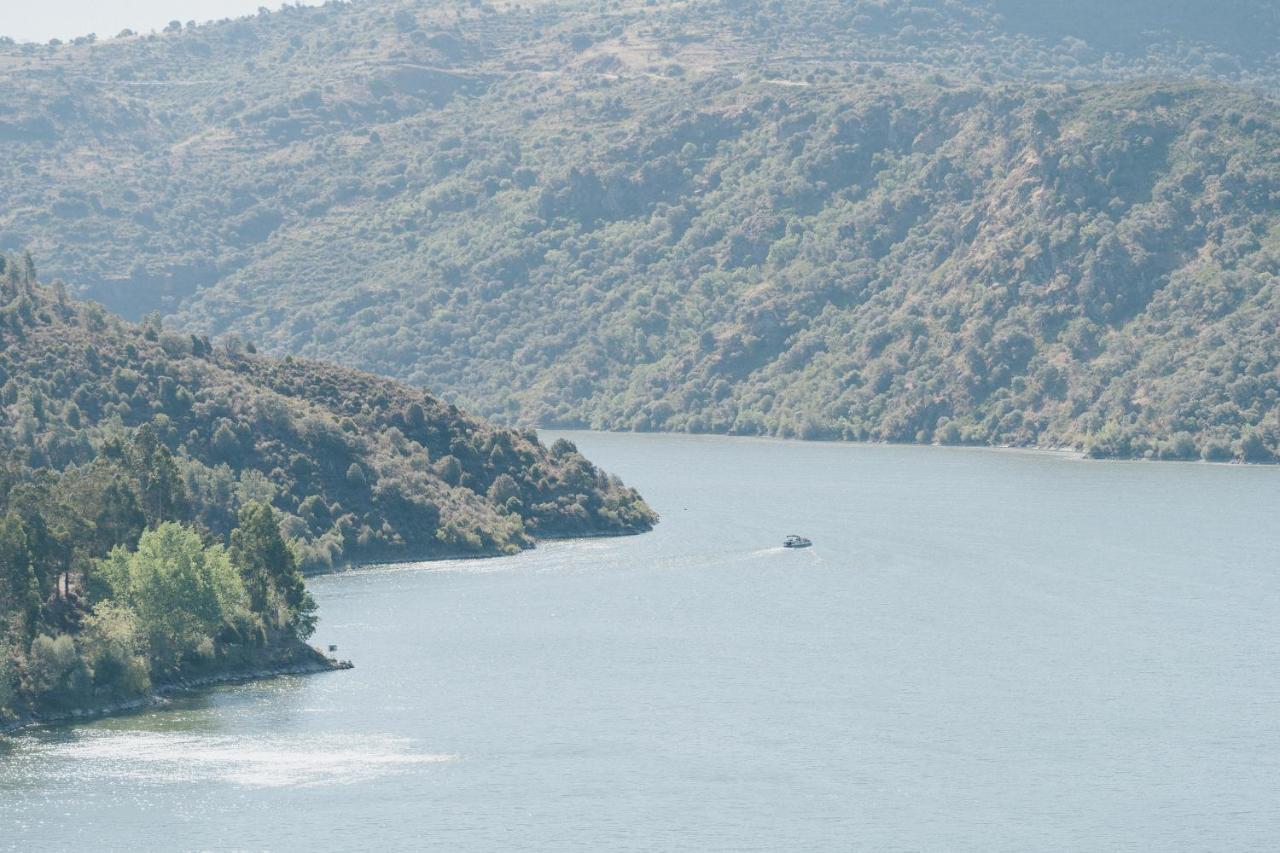 Casa Das Arribas - Rio Douro Aos Seus Pes Bemposta  Esterno foto